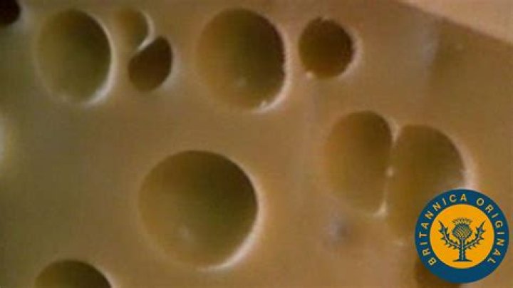 Why do they put holes in cheese?