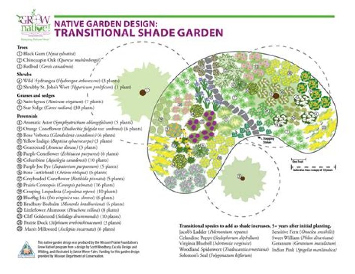 Why do you need a shade garden plan?