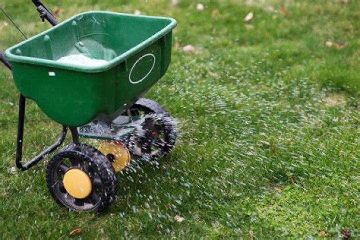 Why do you need to put fertilizer on your lawn?