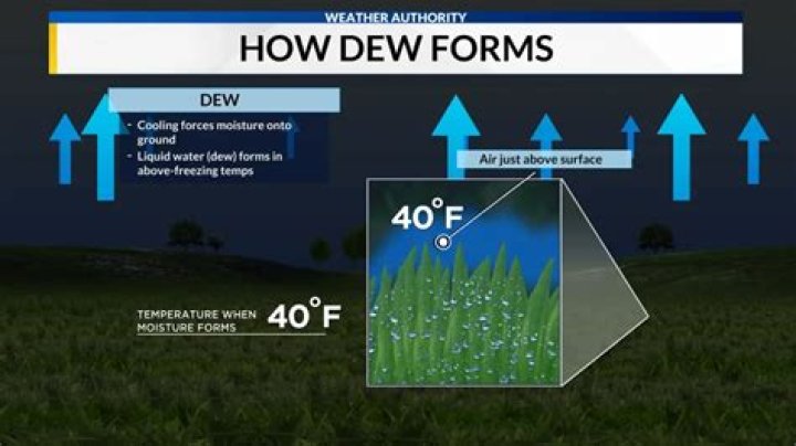 Why does dew form early in the morning?