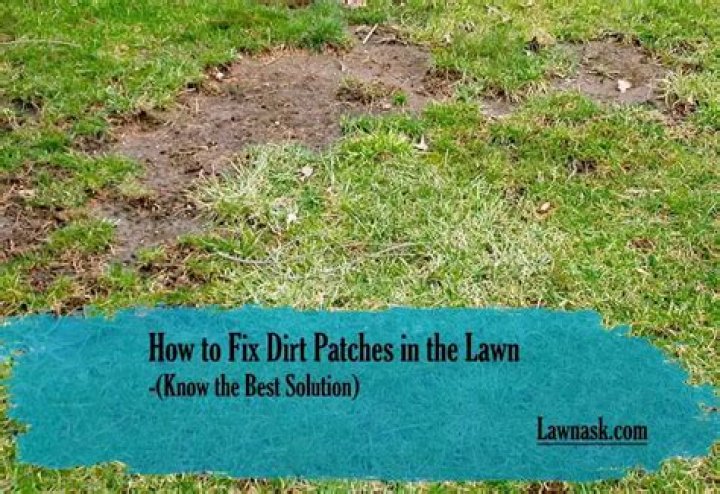 Why does my lawn have dirt patches?