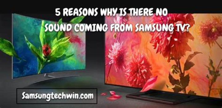 Why does my Samsung TV not have audio out?