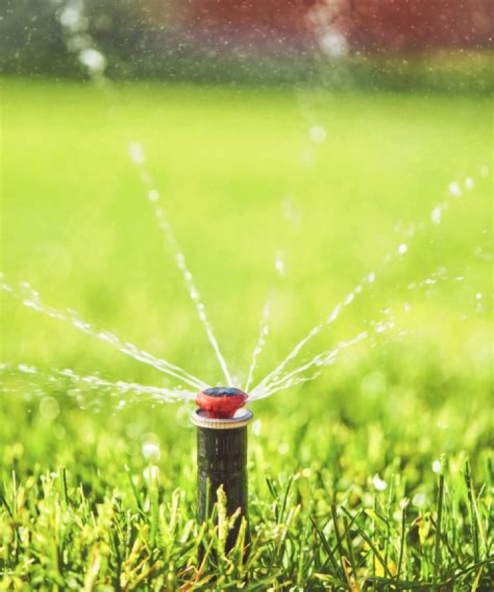Why does watering the lawn at night help conserve water?