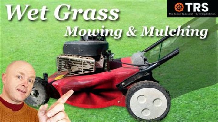 Why is green grass bad?