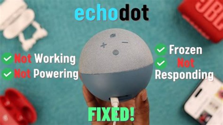 Why is my Echo plus not working?