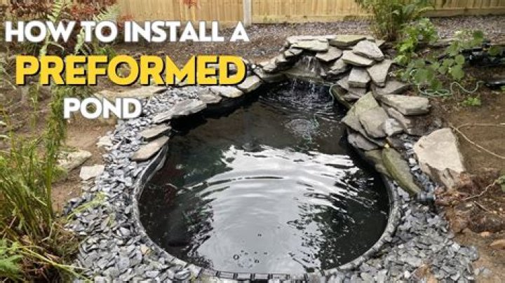 Why is my fish pond draining?