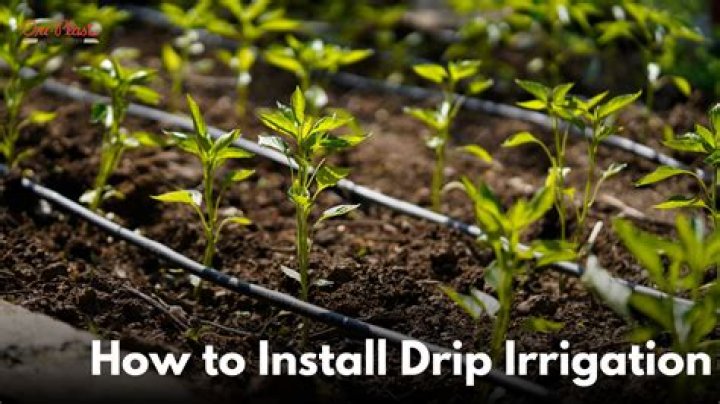 Why is my irrigation not working?