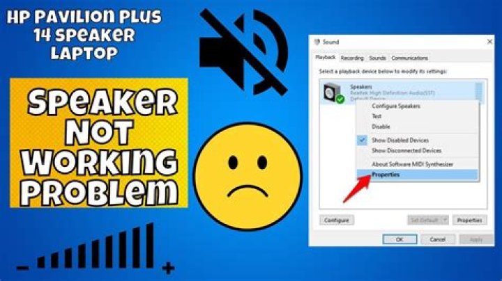 Why is my KRK speaker not working?