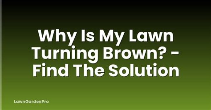 Why is my lawn suddenly turning brown?
