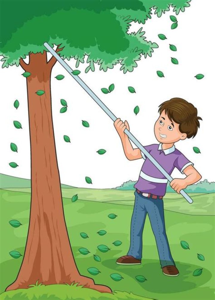 Why is my tree shedding leaves in June?