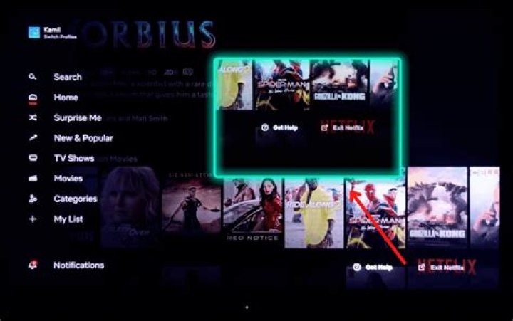 Why is there no sound on my Netflix on TV?