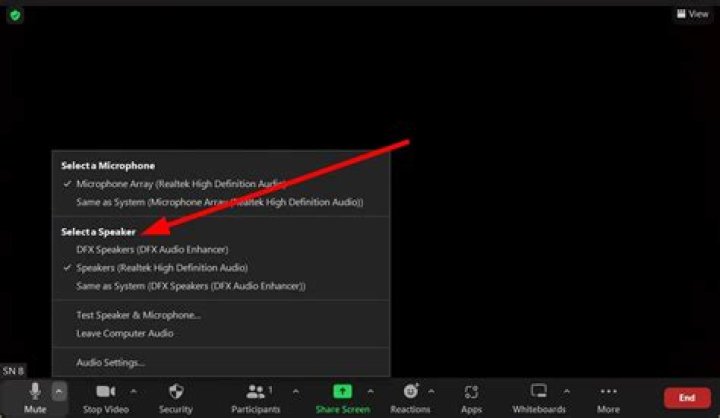Why is Zoom sound quality so bad?