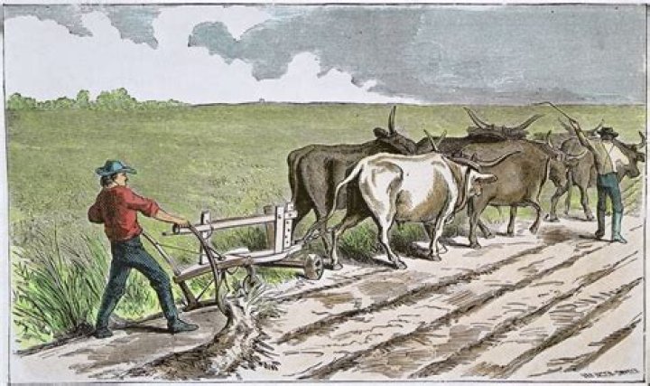Why was the sod filled land called Sodbuster?