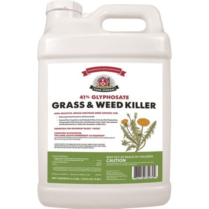 Will 41 Glyphosate kill grass?