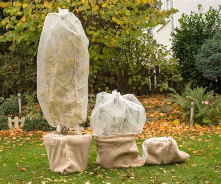 Will a plastic bag stop frost?