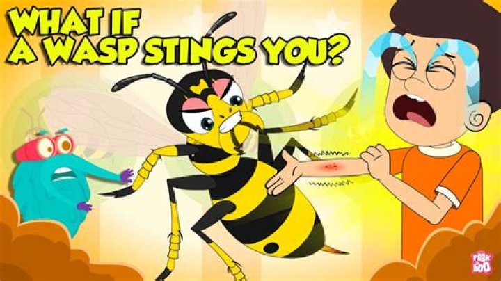 Will a wasp die if it stings you?