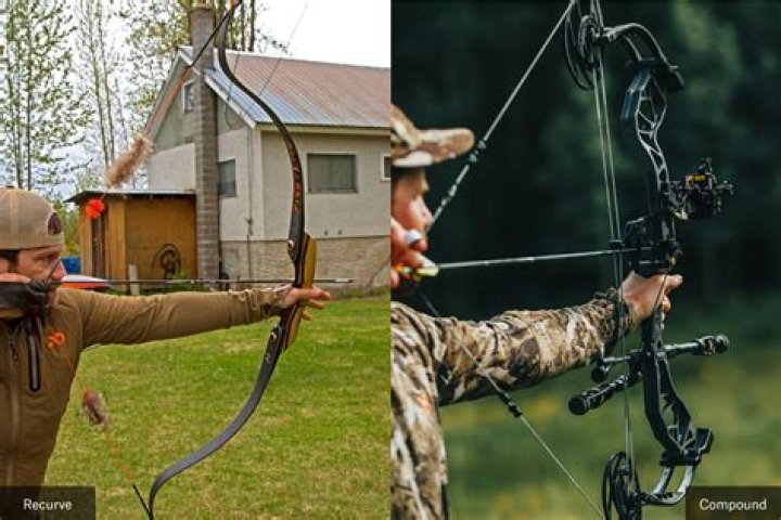 Will crossbow kill my lawn?