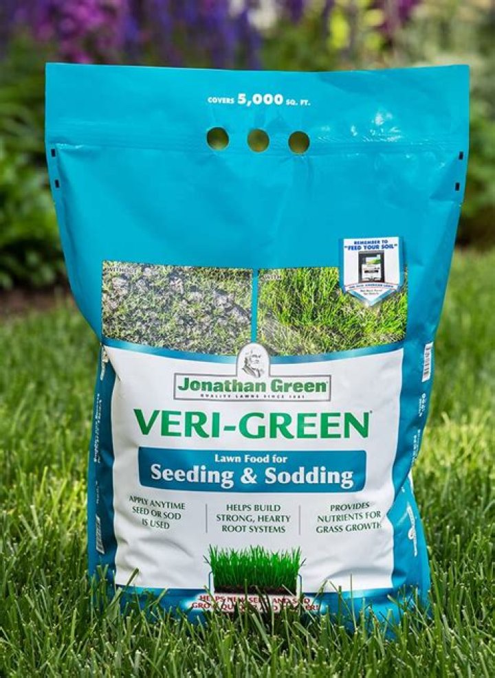 Will newly planted grass survive winter?