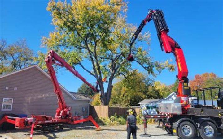 Will power company take down trees?