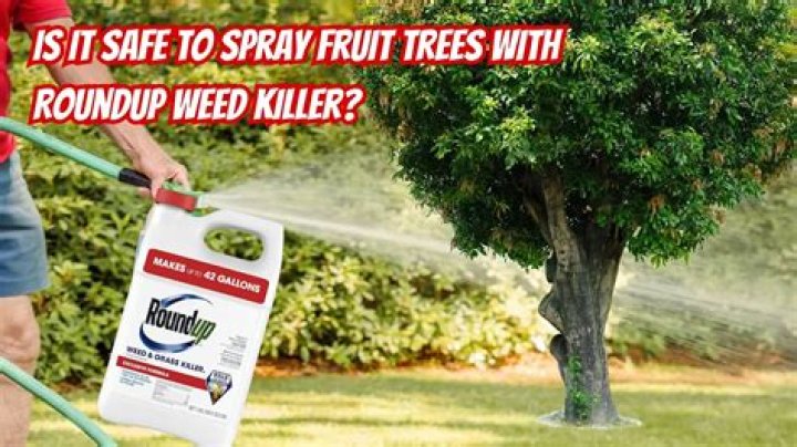 Will Roundup kill locust trees?