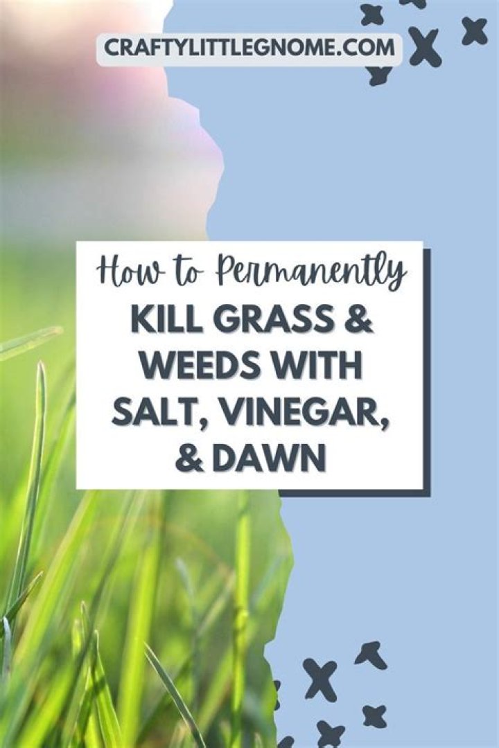 Will salt kill weeds permanently?