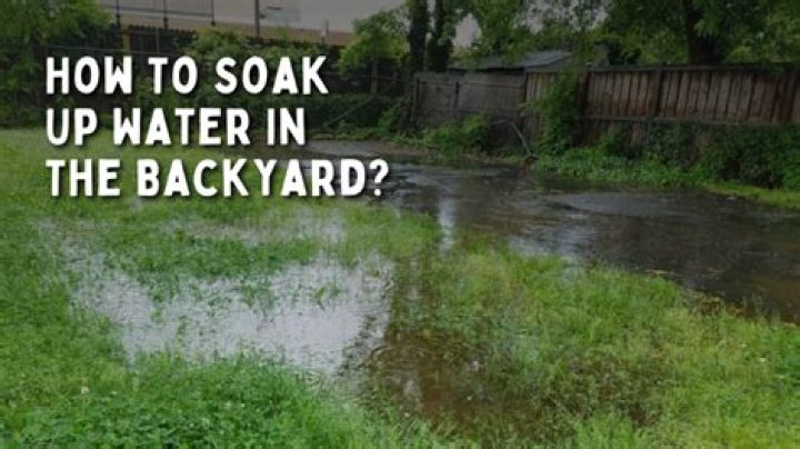 Will sand soak up water in my yard?