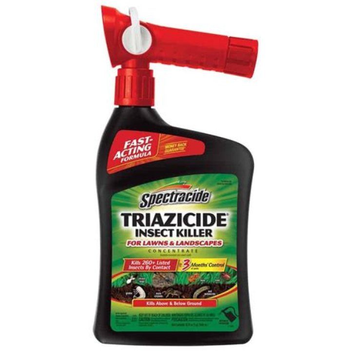 Will too much insecticide kill grass?